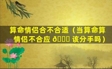 算命情侣合不合适（当算命算情侣不合应 🐛 该分手吗）